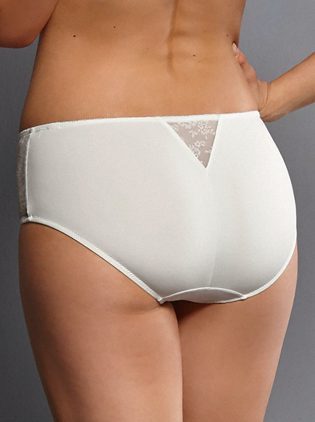 Anita Fleur High Waist Brief- Crystal - Erilan